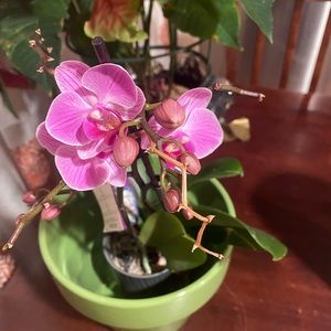 Meet your Posher, Melisa !!!